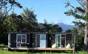 Waihi Gold Alpacas 1 Or 2 People